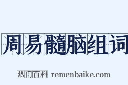 周易髓脑组词是什么意思的图片